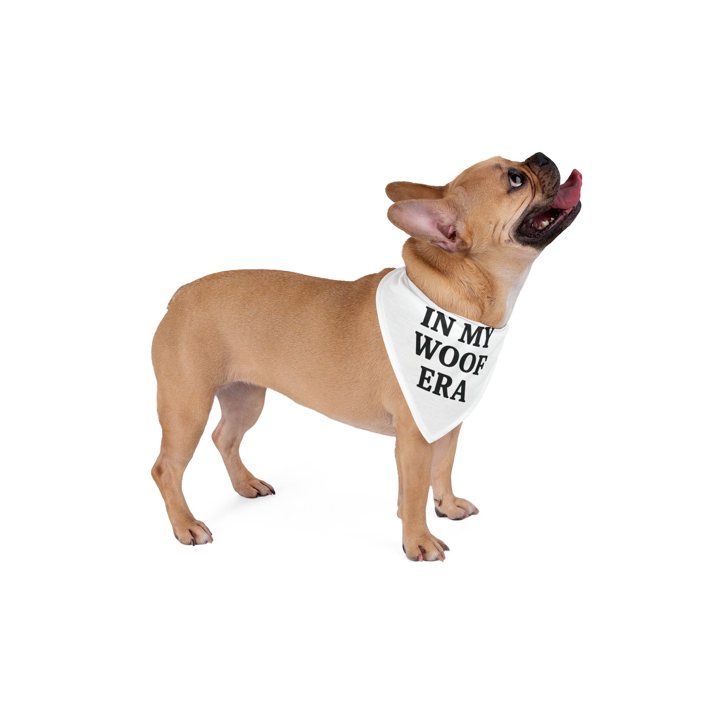 In My Woof Era Bandana